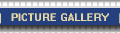 Parasite Gallery